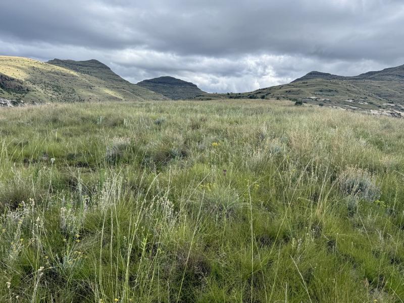 0 Bedroom Property for Sale in Fouriesburg Free State